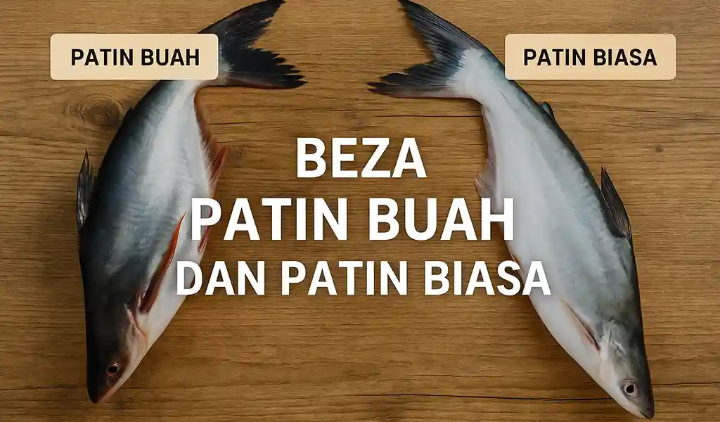 Beza Patin Buah dan Patin Biasa